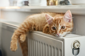 Przyklej matę za grzejnikiem - nawet 90% ciepła wraca do pokoju