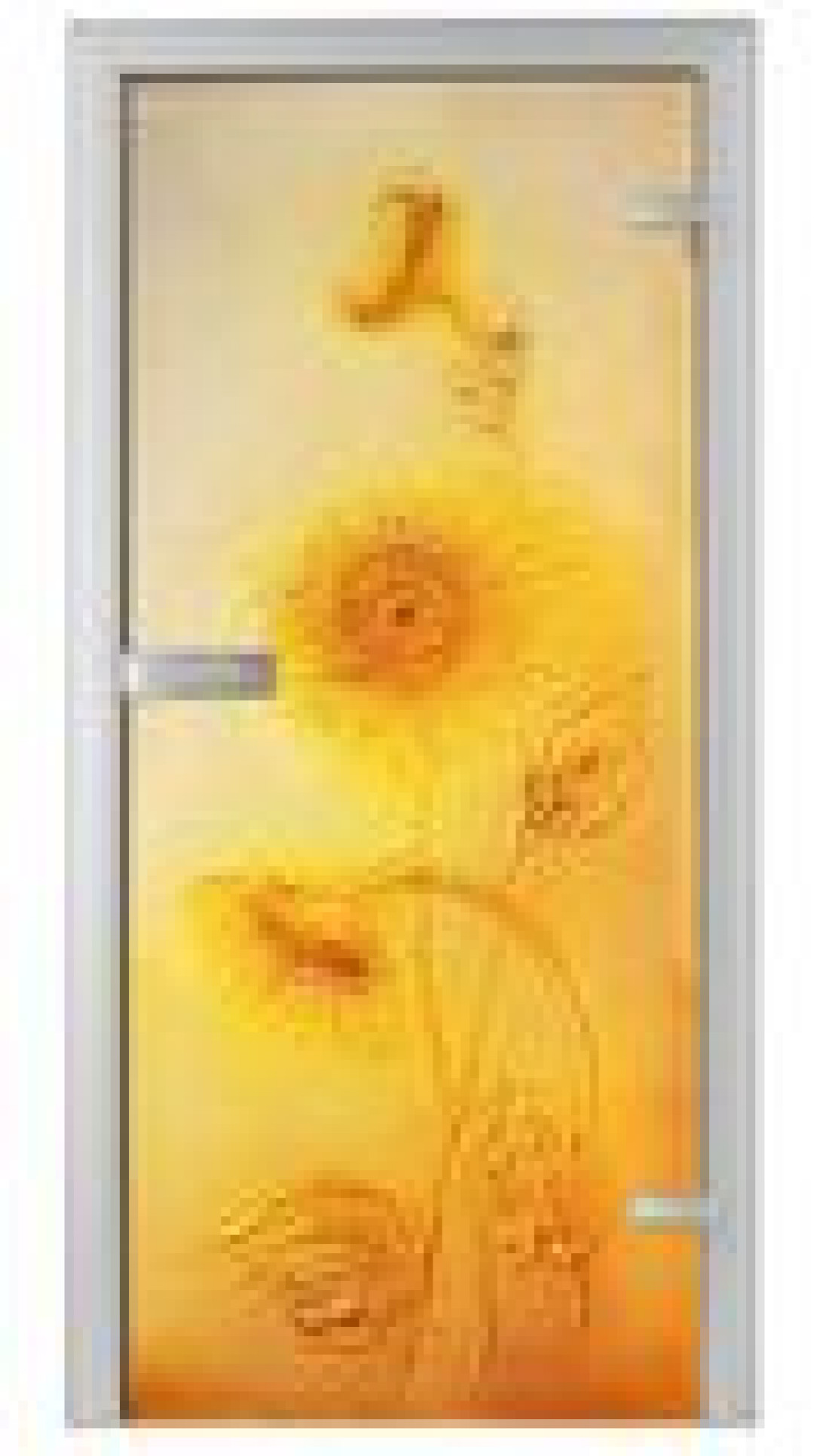 Girasole czyli słoneczniki na drzwiach szklanych