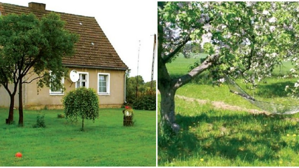 Stary dom z dużym sadem Stary dom z dużym sadem